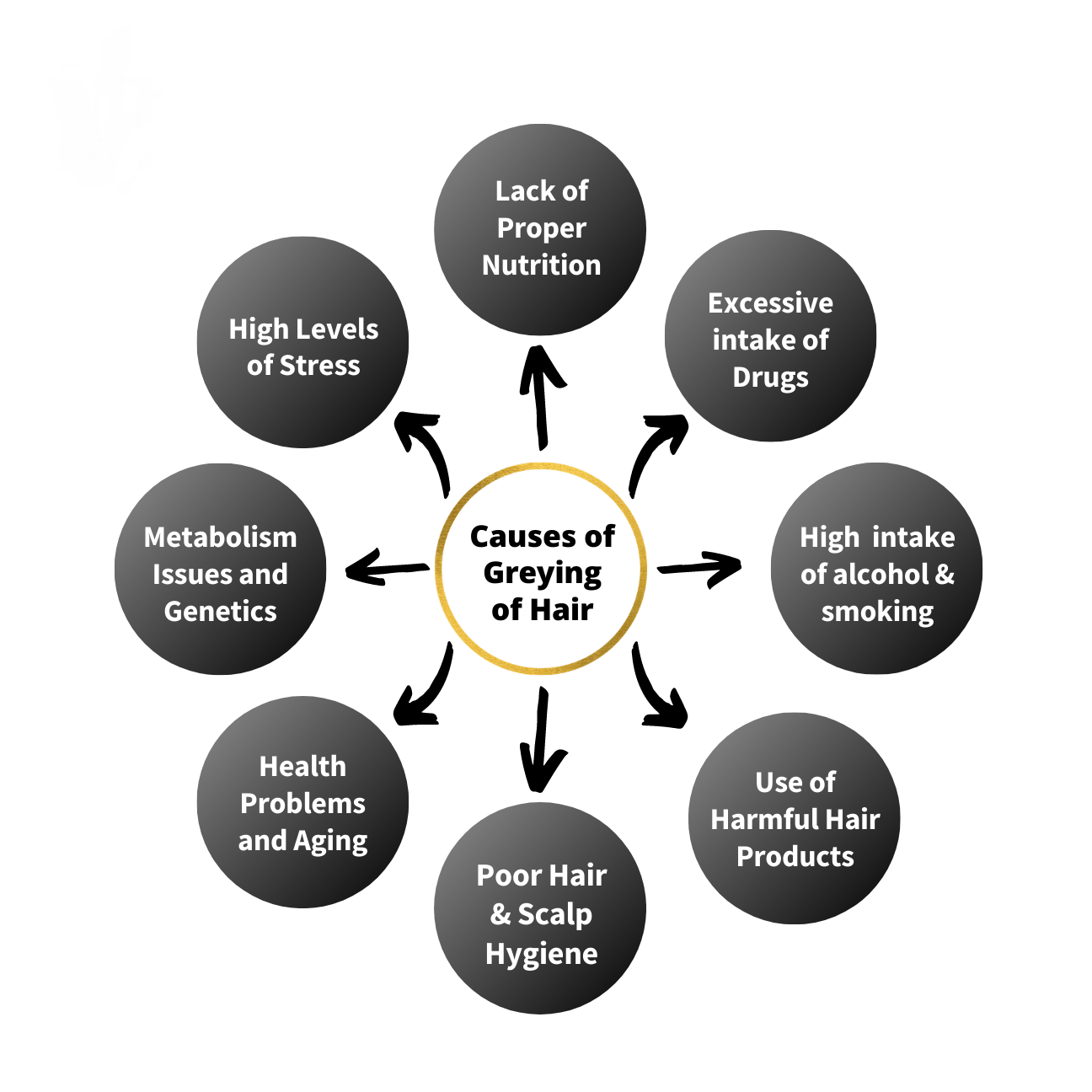 Causes Of premature gray Hair